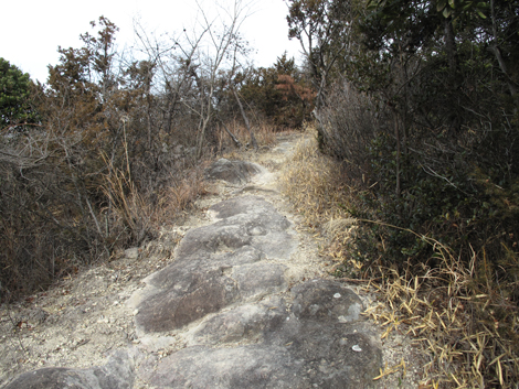 20140125hike (40)